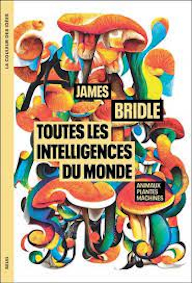 James Bridle, Toutes les intelligences du monde
