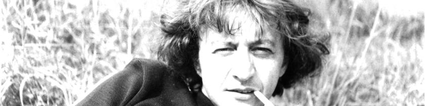 Philippe Muray journaux