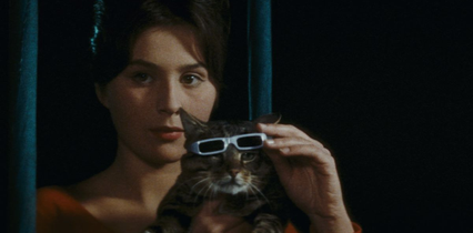Un jour un chat