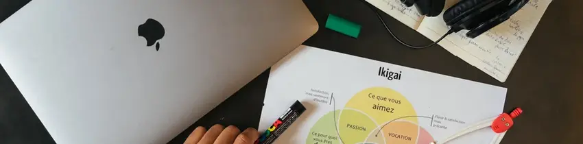 Ikigai