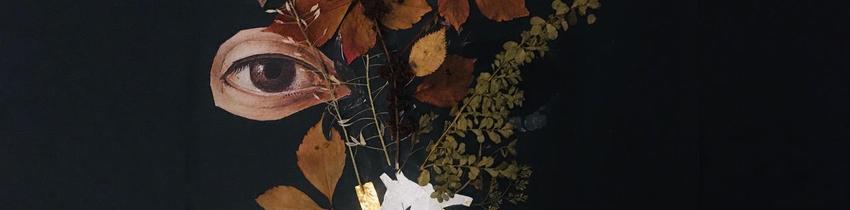 création Anna Blume