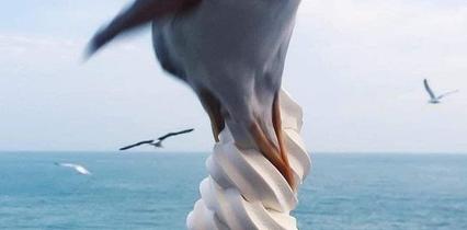 Pénitence Eliza Clark