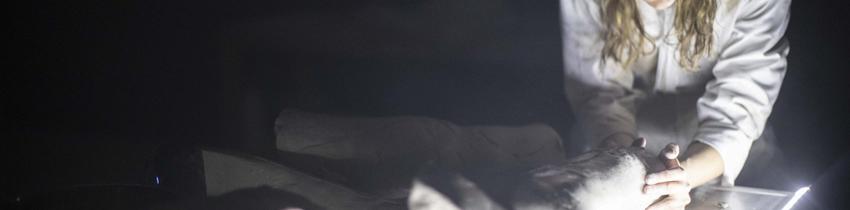 les corps incorruptibles