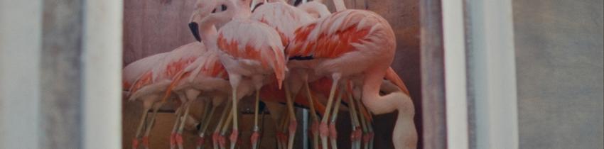 Collective Monologue