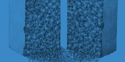 Fragmentée