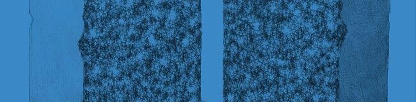 Fragmentée