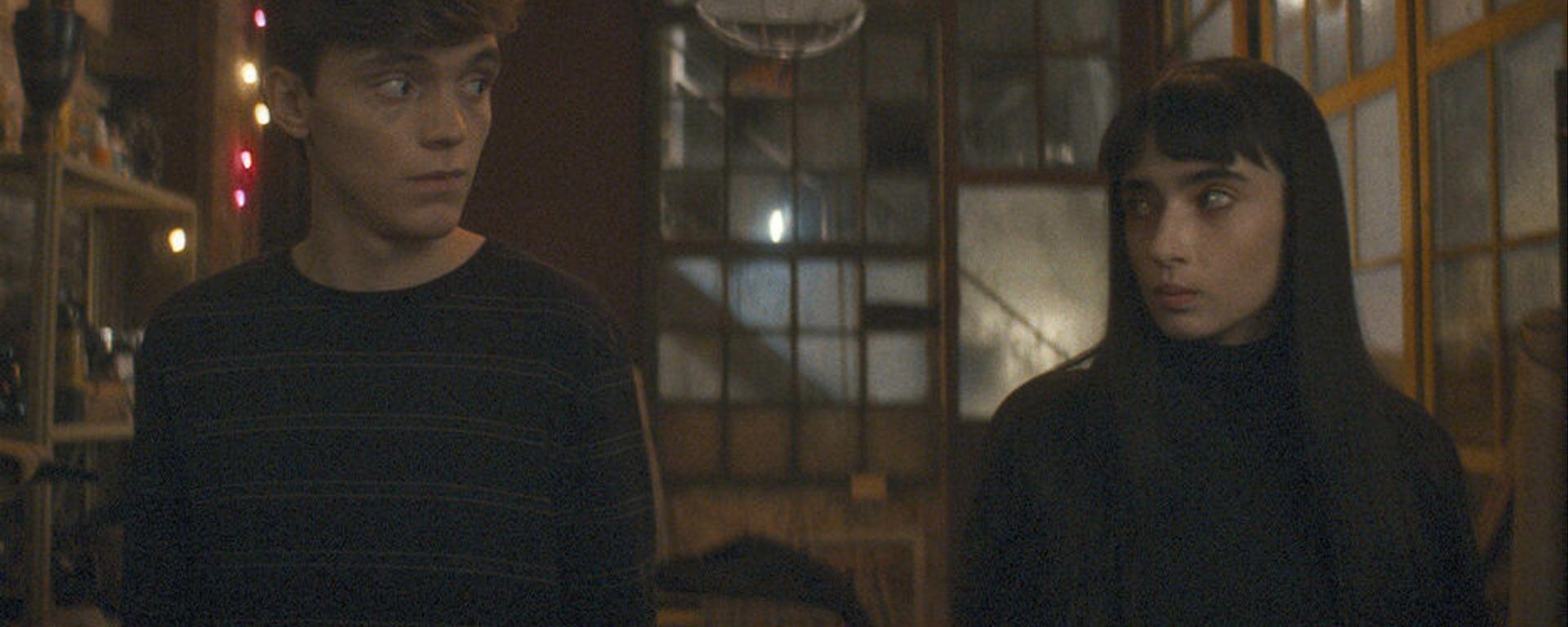 Vampire humaniste cherche suicidaire consentant