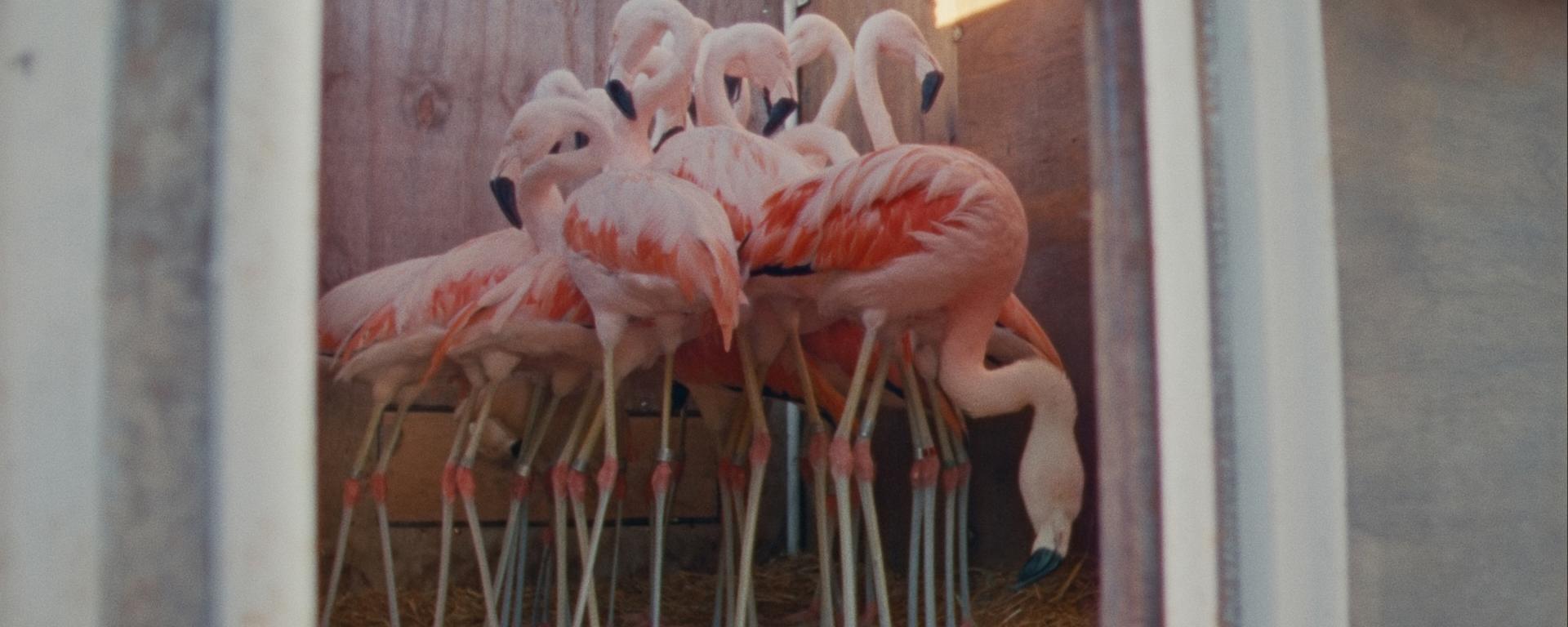 Collective Monologue