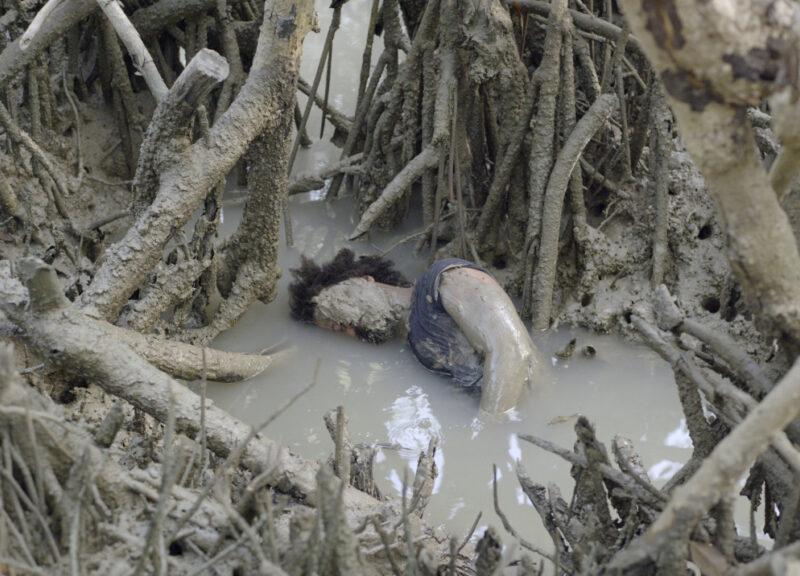 Cinéma du Réel 2024