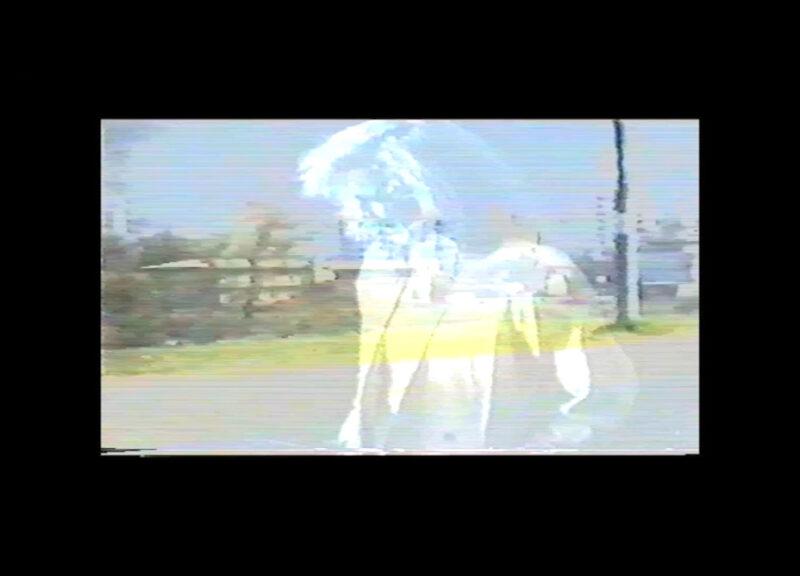 Cinéma du Réel 2024