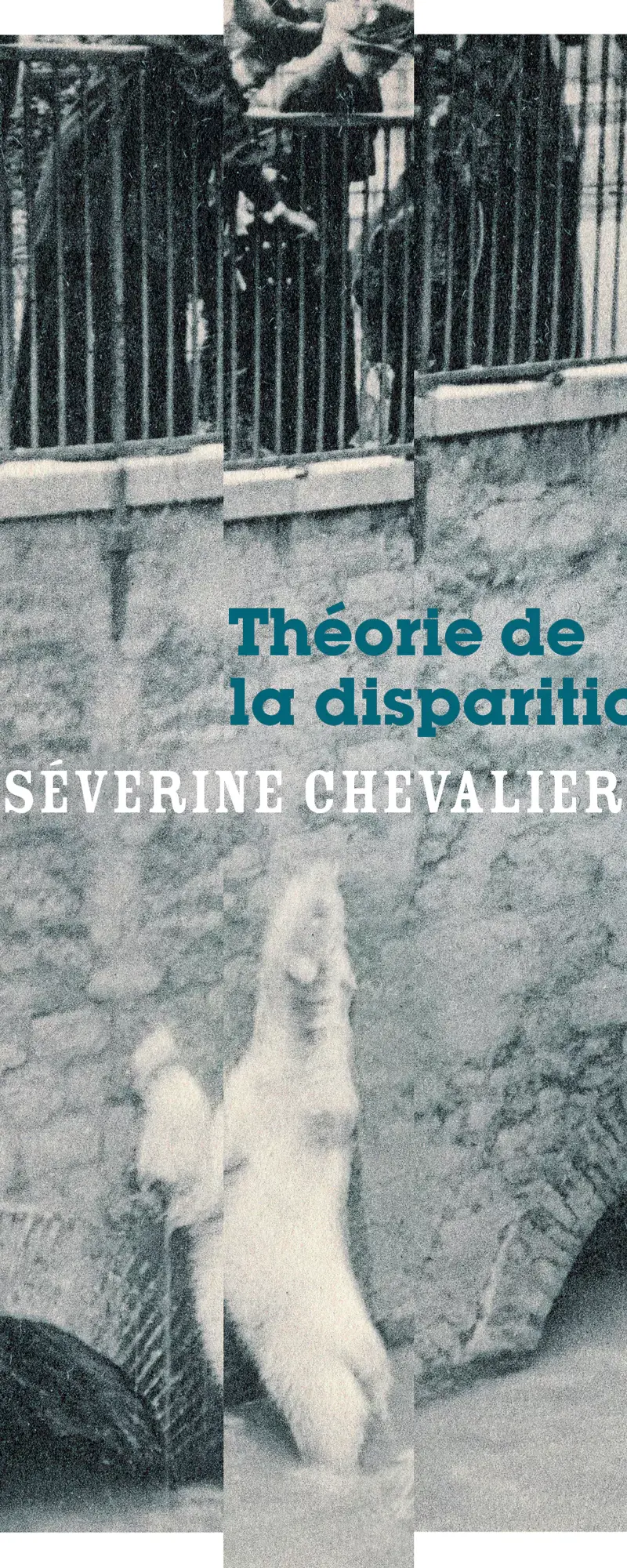 Théorie de la disparition, Séverine Chevalier