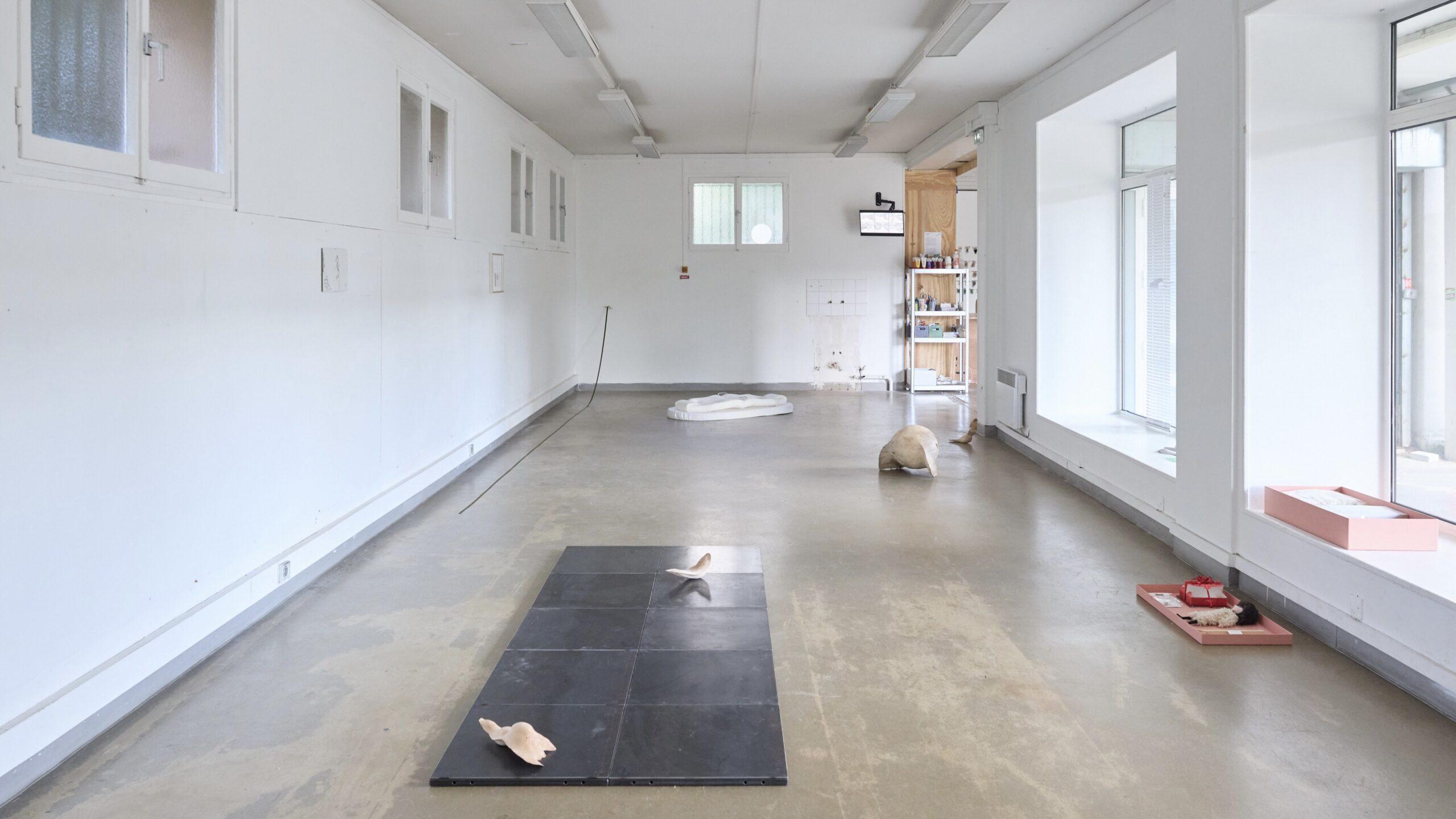 La terre retombe au soleil