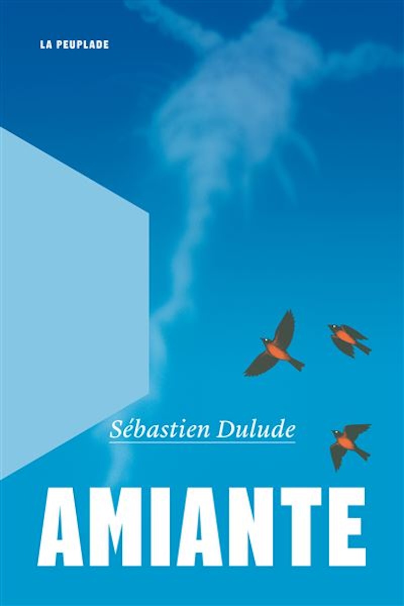 Amiante, Sébastien Dulude