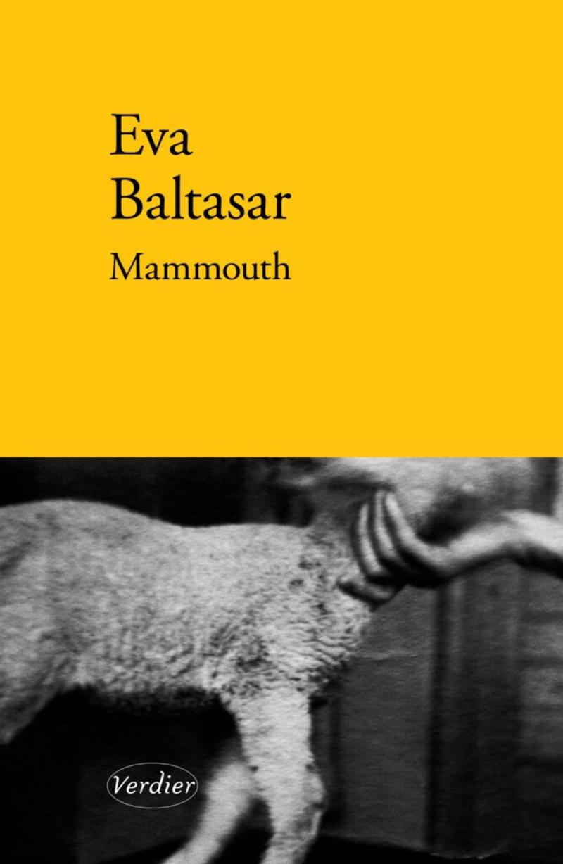 Eva Baltasar, Mammouth