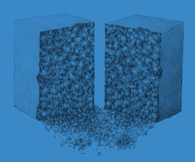 Fragmentée